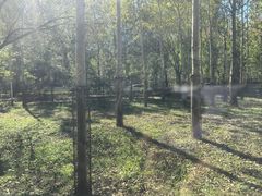 -秦皇岛野生动物园