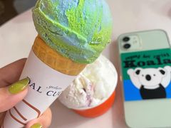 -Dal Cuore 达可芮冰淇淋(陕西北路店)