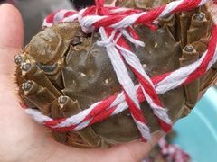 -青石桥市场北1-27号