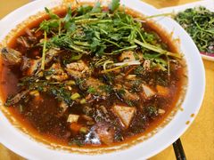 -胖大姐黄辣丁鱼庄(新津店)