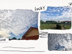 -意大利农场度假村