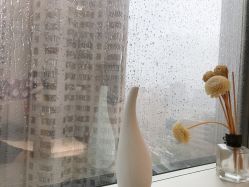 -樱木町·日式头皮管理中心