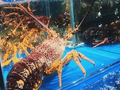 -岳各庄批发市场(西四环中路店)