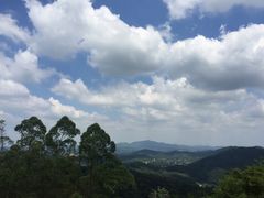 -火炉山森林公园