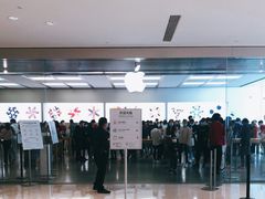 -Apple零售店(深圳益田假日广场店)