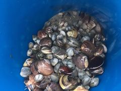 -北海金海湾红树林生态旅游区