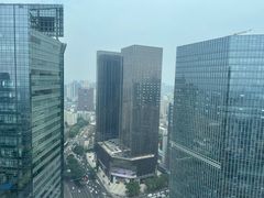 -成都仁恒格蓝柏薇酒店公寓