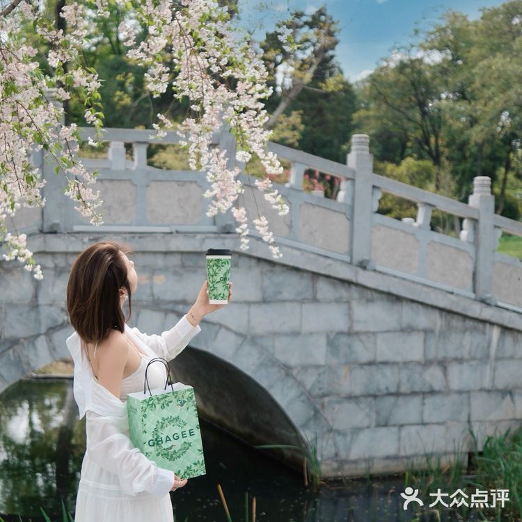 和霸王茶姬小绿杯一起体验公园20分钟效应！！