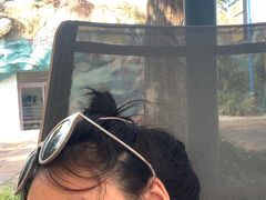 -重庆海昌加勒比海水世界