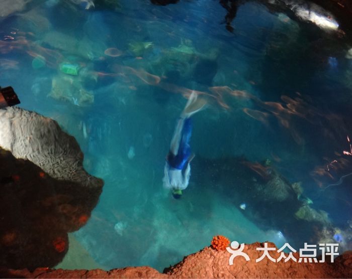 南山区 南山中心区 洗浴 中潜潜水世界 所有点评 16-06-23 中潜潜水