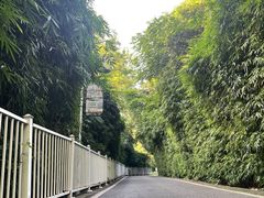 -贵阳市花溪国家城市湿地公园