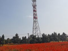 -羊亭河湿地公园