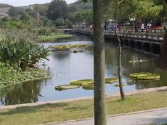 -兰剑驾校(汉阳校区)