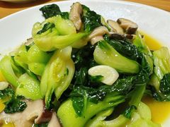 -张鸟园农家乐(张鸟园店)