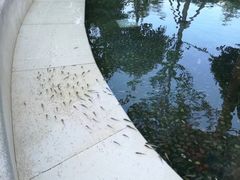 -贵御温泉