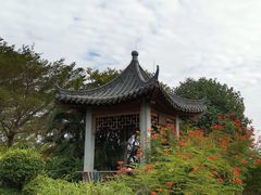 -海珠湖公园