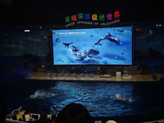 -泉城欧乐堡海洋极地世界