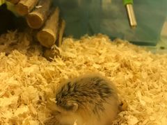 -龙猫仔乐园(惠福东路店)