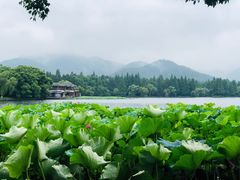 -苏堤停车场