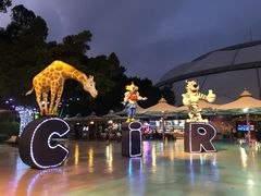 -广州长隆国际大马戏