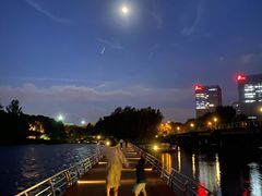 -九鼎轩脆毛肚火锅(商业街店)