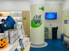 -佩兹宠物医院肿瘤专科·眼科·牙科(黄浦店)