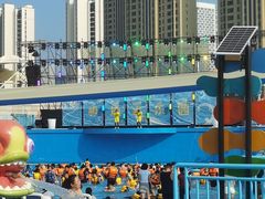 -海合安天津极地海洋公园