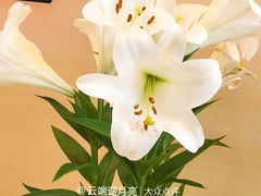 -中国农业博物馆