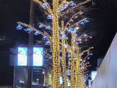 -王府井天主教堂