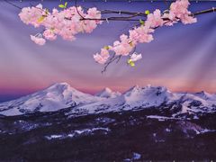-首开·龙湖成都西宸天街