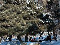 -长春市南湖公园