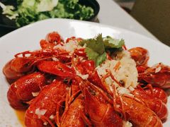 -海底捞火锅(朝阳北路生日主题店)