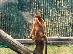 -大连森林动物园