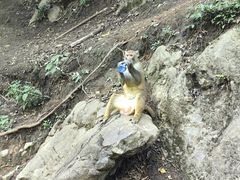 -黔灵山公园