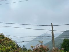 -玉苍山国家森林公园