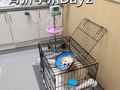 -康成宠物医院24H·CT·核磁共振