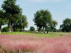 -汉长安城未央宫国家考古遗址公园