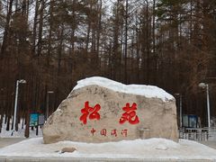 -美人松苑