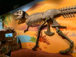 -北京科学中心儿童乐园