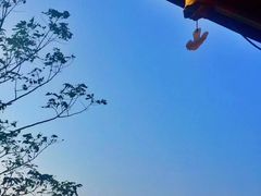 -娄山关景区