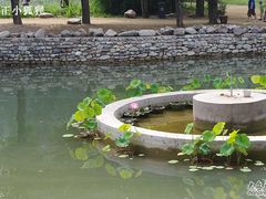 -紫海香堤香草艺术庄园