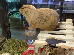 -宠物世家(仲盛世界商城店)