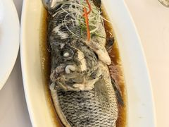 -骏莱海鲜鱼港(五角场店)