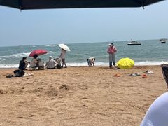 -日照灯塔风景区