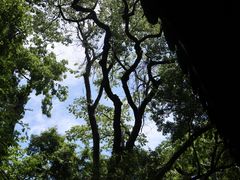 -绮园景区
