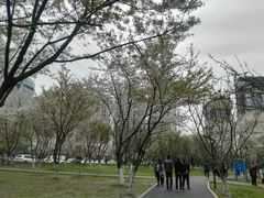 -西北湖绿化广场