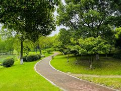 -贡湖湾湿地公园