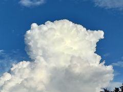 -六朵云照相馆(喷水池店)