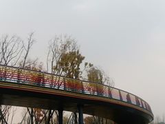 -府河摄影公园