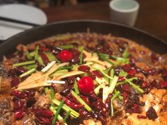 -老板恋上鱼(恒隆广场店)